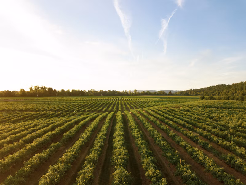 Destaques em Fertilizantes e Corretivos